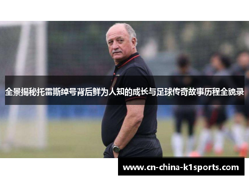 全景揭秘托雷斯绰号背后鲜为人知的成长与足球传奇故事历程全貌录