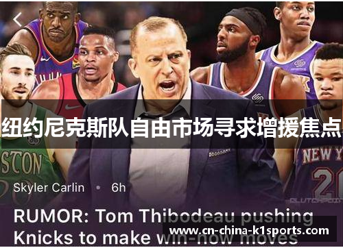 纽约尼克斯队自由市场寻求增援焦点