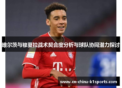 维尔茨与穆夏拉战术契合度分析与球队协同潜力探讨